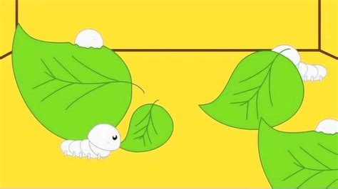 咕力动画：咕力的蚕宝宝，学习蚕的生长过程