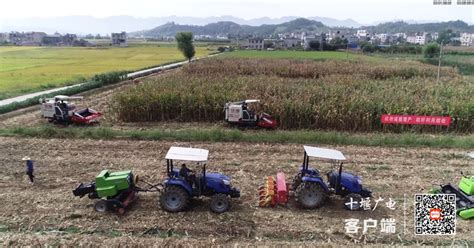 十堰市农机技术推广中心在玉米机收“田间日”讲“减损”课-中国农业机械化信息网