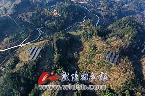 武忻高速黔江特大桥完成下横梁首层混凝土浇筑_县域经济网