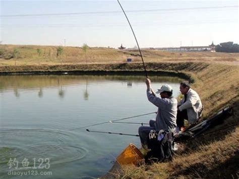 鱼塘水库钓鱼的选位打窝及钓组配置技巧