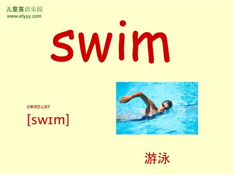 单词swim