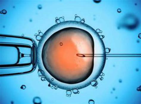 做试管婴儿，怎么选优质胚胎？1分钟教你看懂胚胎等级_新闻资讯-试管邦