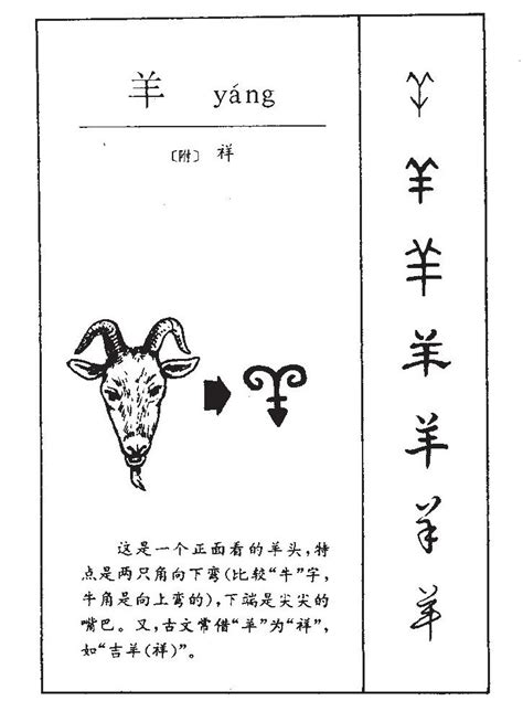羊：汉字的起源与演变（小学一年级语文生字 第65集） - 知乎