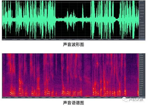 声音鉴定app，测自己声音属于什么音_速网