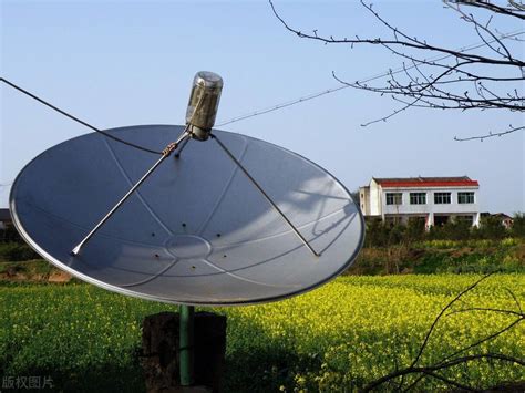 农村大市场（2023-05-31） - 陕西网络广播电视台