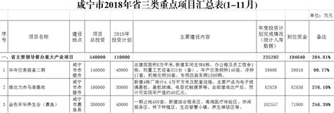 咸宁燃料电池技术服务项目申请报告模板