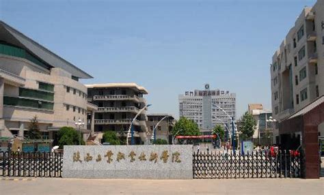 陕西工业职业技术学院-VR全景城市