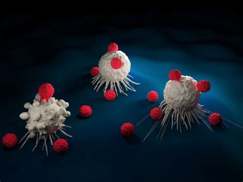 人急性T细胞白血病细胞；Jurkat CA图片-Jurkat CA-上海一研生物科技有限公司