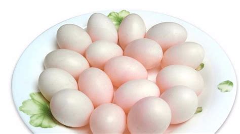 【鸽子蛋营养】鸽子蛋的营养成分_吃鸽子蛋的营养有哪些_中华康网