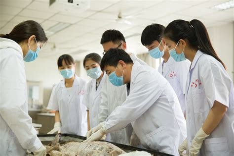 新疆专业的医学实验外包外包 欢迎咨询「南京英瀚斯生物科技供应」 - 水**B2B