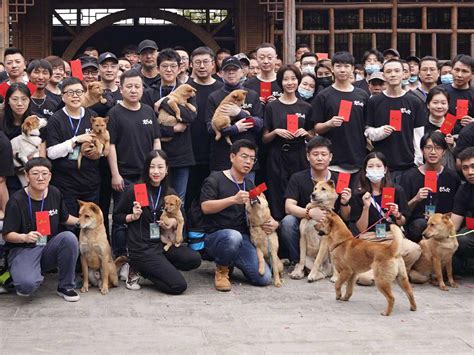 中国版《忠犬八公》电影正式开机！这阵容真的是太期待了！ - 360娱乐，你开心就好