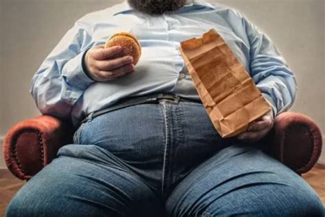 胖一定是营养过剩吗？你可能是个营养不良的胖纸！_科普中国_新浪博客