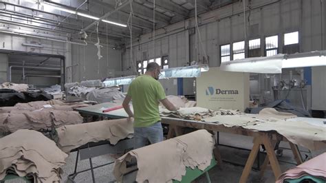 令人惊叹的现代牛皮制革工艺厂，如何进行皮革加工制作