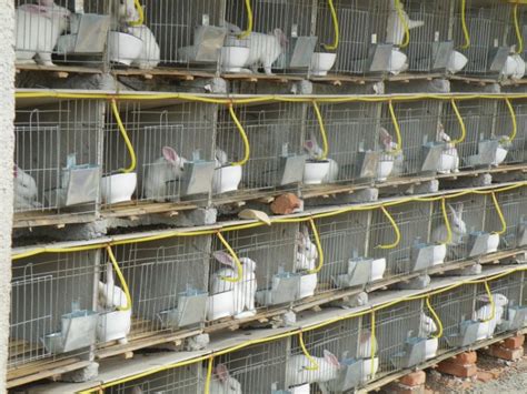 走近四季沐歌暖通工程案例实地|宁夏隆德肉兔养殖场暖通解决方案 - V客暖通网