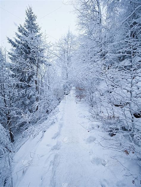在瑞典南部黑暗和阴暗的冬季日横跨农田的高清图片下载-正版图片504336581-摄图网