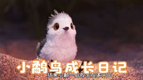 【户外休闲娱乐天堂】愤怒的小鸟主题乐园一日游 - 蜜柚旅行MIU TOUR