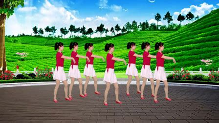武阿哥广场舞《红尘花一朵》原创32步鬼步弹跳步子舞