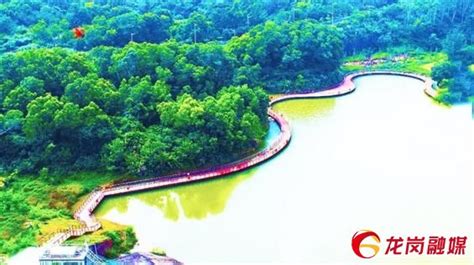 河南商水县改造坑塘实现”双增双收“和环境美