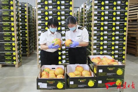 2023年2月中国果蔬汁出口数量和出口金额分别为3万吨和1.09亿美元_智研咨询