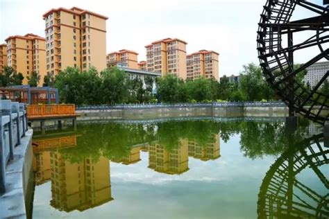 中宁县枸杞鲜果市场乘势而上迎来新的爆发期、增长期、机遇期 - 知乎