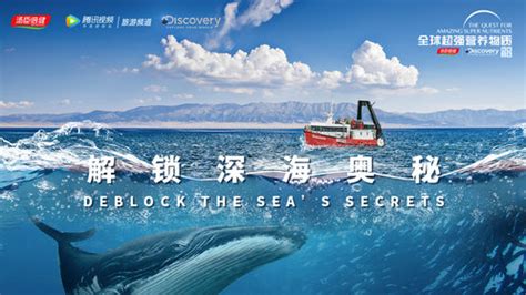 中国蛟龙潜入深海 探寻海洋奥秘迈出坚实一步 - 海洋财富网