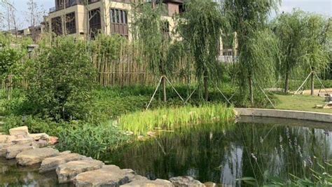 扬州市“六个好地方”建设”正式开展_我苏网