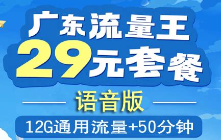 广东流量王-深圳流量王29元套餐-通用流量-手机号免费申请-国创信联