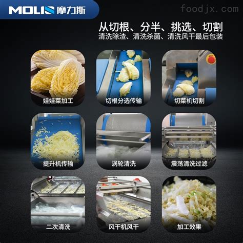 摩力斯-全自动预制菜南瓜片加工流水线-江西摩力斯科技股份有限公司