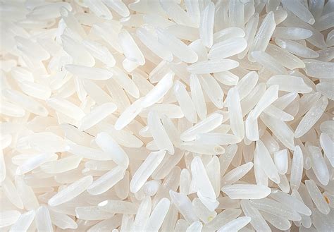 水稻大米摄影图高清摄影大图-千库网