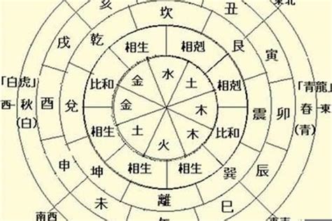 天干地支图图片