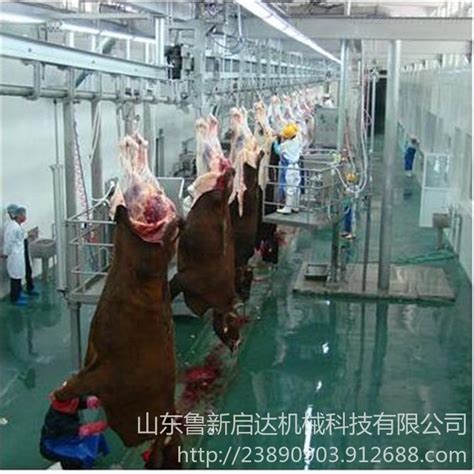 321家屠企每年宰猪3887万头！广东屠宰业迎来大变革