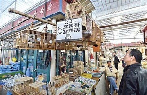 重庆有哪些花鸟市场 有空逛逛花鸟市场吧- 重庆本地宝