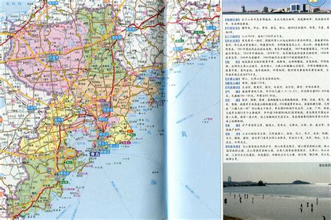 山东省7个沿海城市地势图：青岛、威海、烟台、潍坊、东营、日照