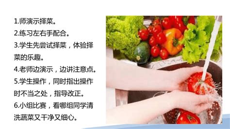 菠菜-挑选-价格-菜谱--广州天天生鲜蔬菜配送公司