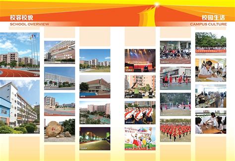 青岛滨海学院2022年国际版招生简章 - 青岛滨海学院阳光招生网