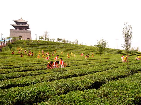 云南省普洱市山康茶祖节祭祖 - 中国国家地理最美观景拍摄点