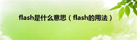 flash是什么意思（flash的用法）_科学教育网