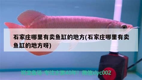 10月27日，桂林五里店果蔬批发市场水产区正式开业-桂林生活网新闻中心