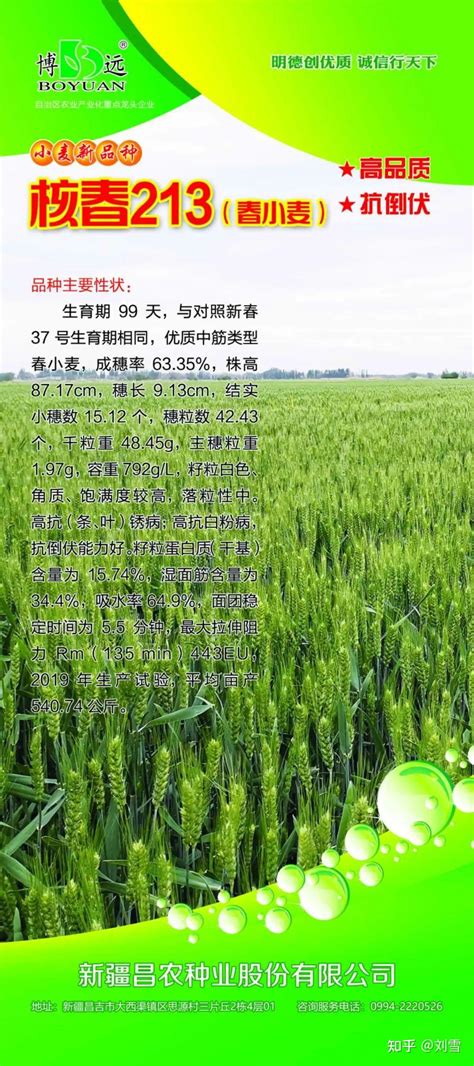新疆昌农种业股份有限公司邀您参加新疆（昌吉）种子交易会 - 知乎