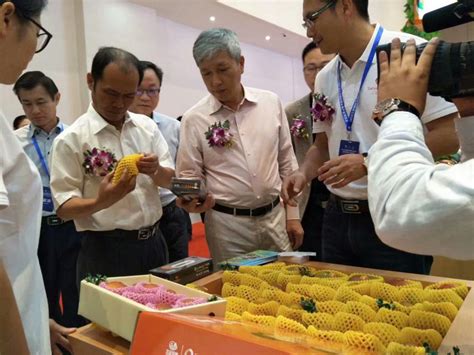 [推广]2019首届海南热带水果产业博览会开幕在即，千家采购共赴三亚盛会 | 国际果蔬报道