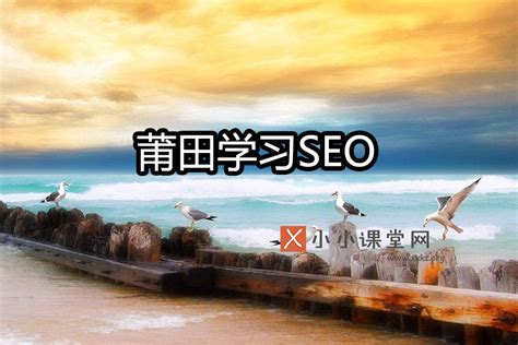 莆田网站排名提升(什么是莆田系seo哪里可以学习seo)-SEO培训小小课堂