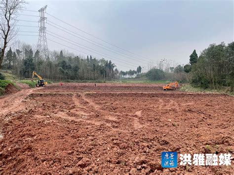 护航春耕生产丨高标准农田建设加快推进 - 康养洪雅