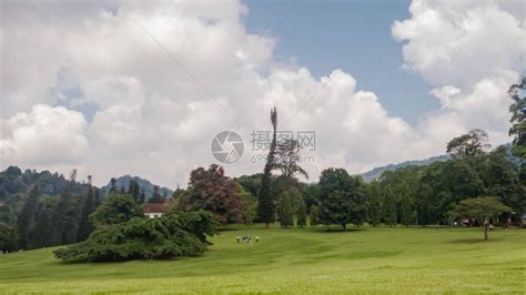 亚洲有山丘和田地的绿色景观高清图片下载-正版图片505600314-摄图网