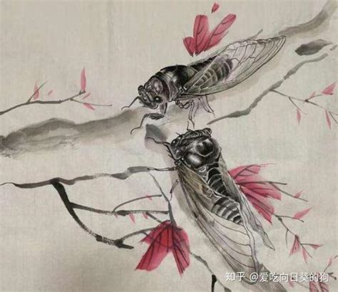 蝉是怎样发声的 蝉是靠什么发声_华夏智能网