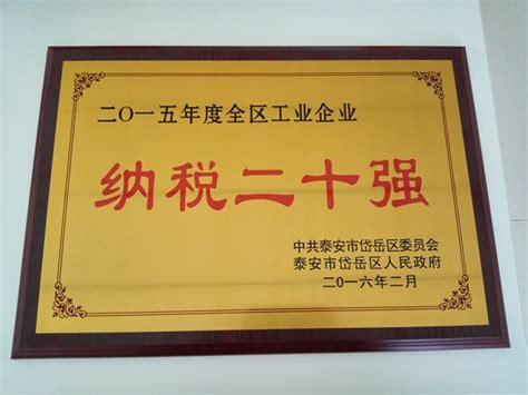 泰安SN公司logo 标志 徽章 丨 双诺工程绿化_凤凰堂旧书店-站酷ZCOOL