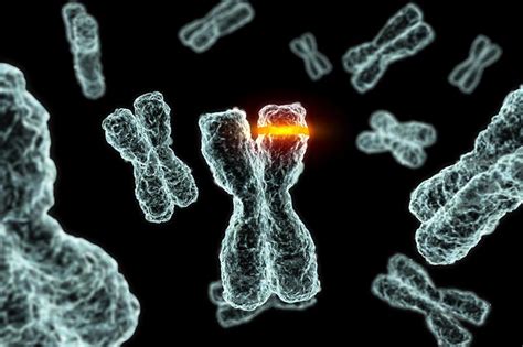 科学网—一基因突变会引起罕见多系统疾病