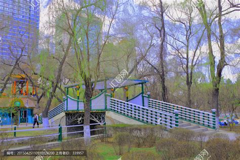 哈尔滨市32个公园设置42个最佳“落叶景观区” - 黑龙江网