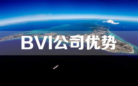 BVI公司注册 -深圳市中小企业公共服务平台
