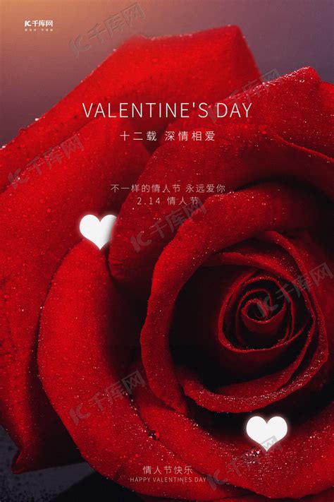 特殊的情人节玫瑰红色写实海报海报模板下载-千库网