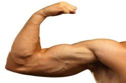 【图】无器械肱二头肌锻炼方法有哪些 6个秘诀教你练出完美身材_伊秀美体网|yxlady.com